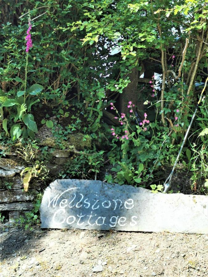 Wellstone Cottages - Honey Coach House Llanfyrnach Exteriér fotografie